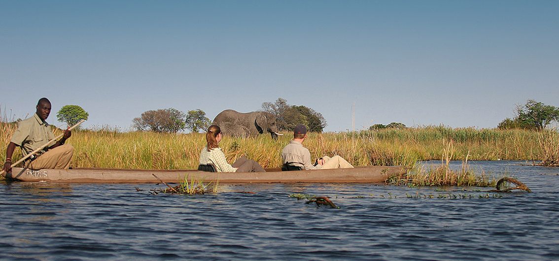 Safari pur: Chobe-Park und Okavango-Delta (2025)