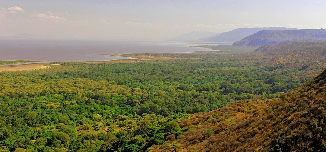 Afrika-Manyara-SEE---11---