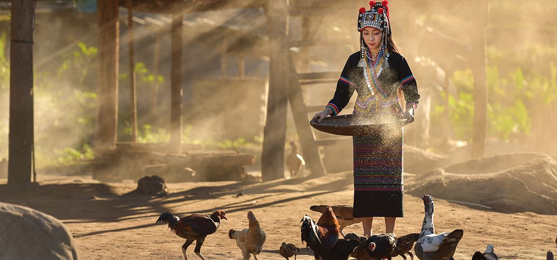 Laos und Kambodscha für Genießer (2025/2026)