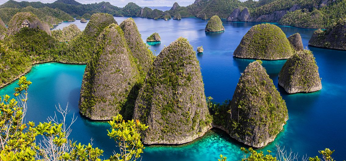 Verlängerung: West-Papua: Paradiesvögel und Dschungel-Abenteuer (2025)