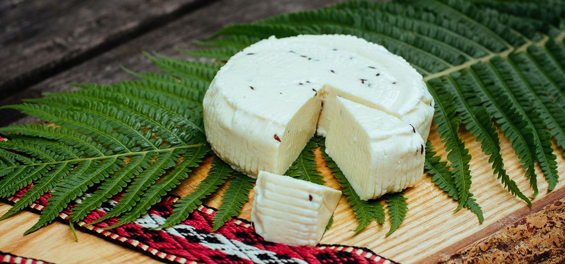 Käse