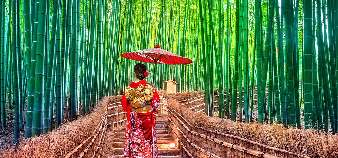 Bambuswald-in-Kyoto
