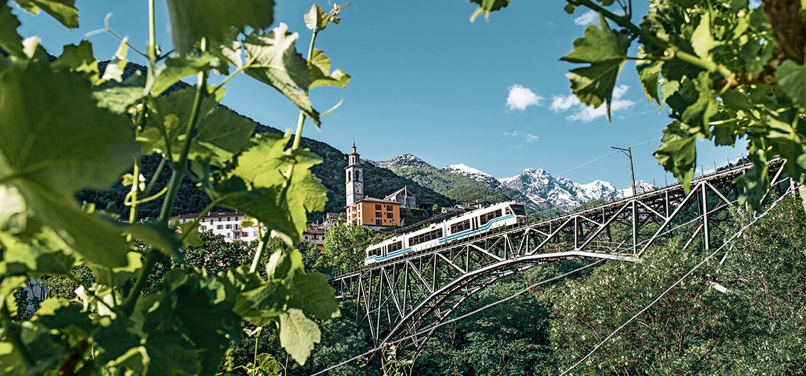 Zug-Erlebnisreise in der Schweiz (2025)