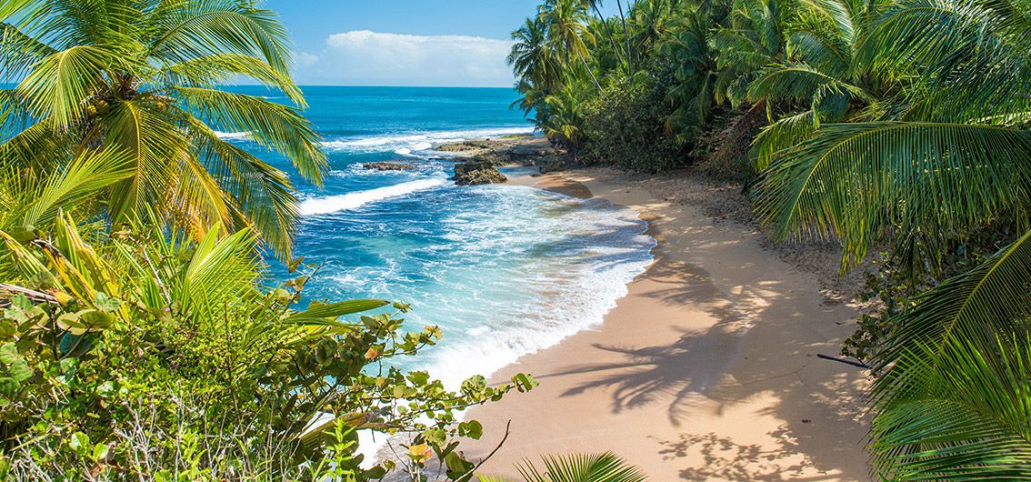 Costa_Rica_Strand-von-Puerto-Viejo-214-