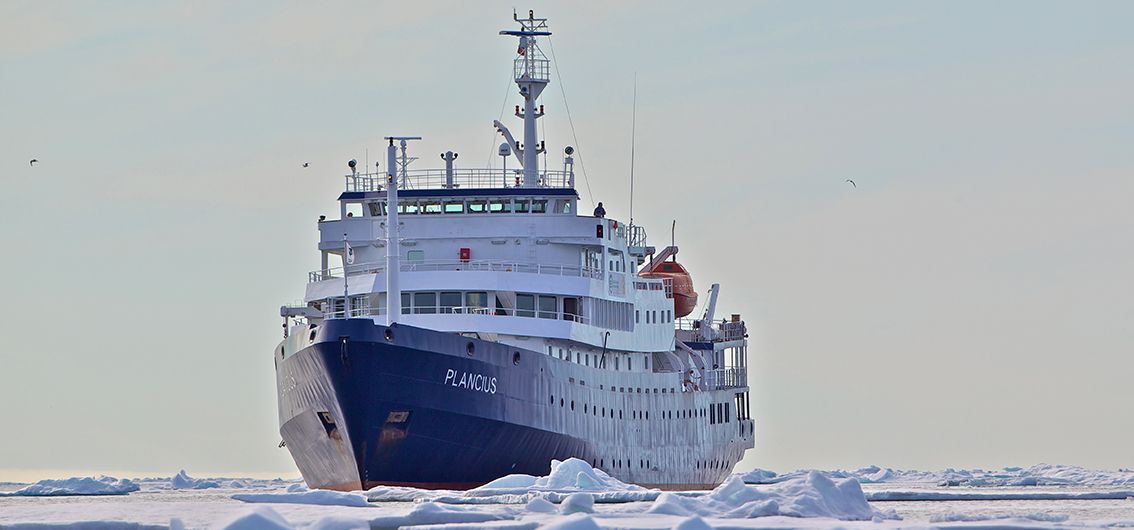 Spitzbergen-Expedition bis ins Packeis (2025/2026)