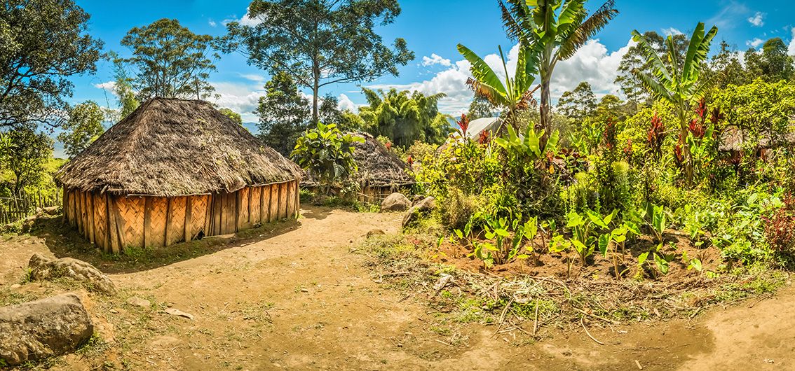 Vorreise: Im Hochland von Papua-Neuguinea (2025)