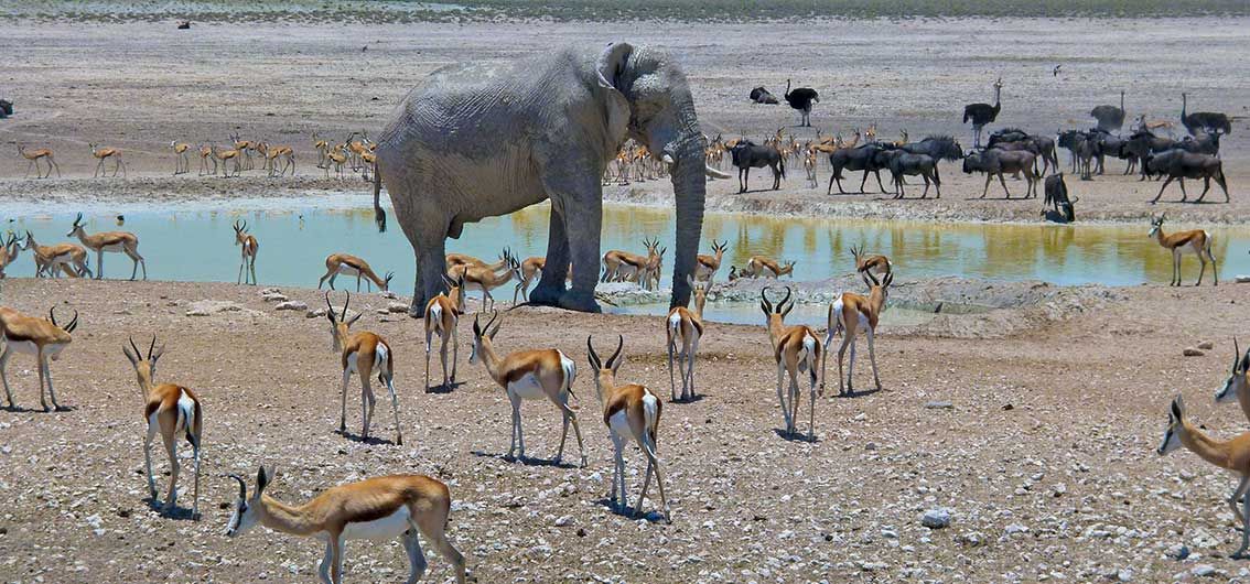 Namibia