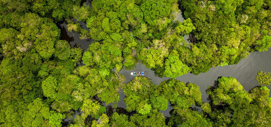 Exkursion-im-Regenwald---(058)---