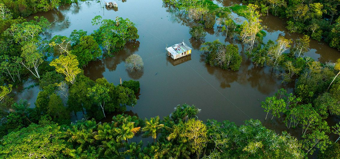 Huetten-im-Amazonas-Regenwald_