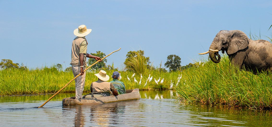Safari pur: Chobe-Park und Okavango-Delta (2026)