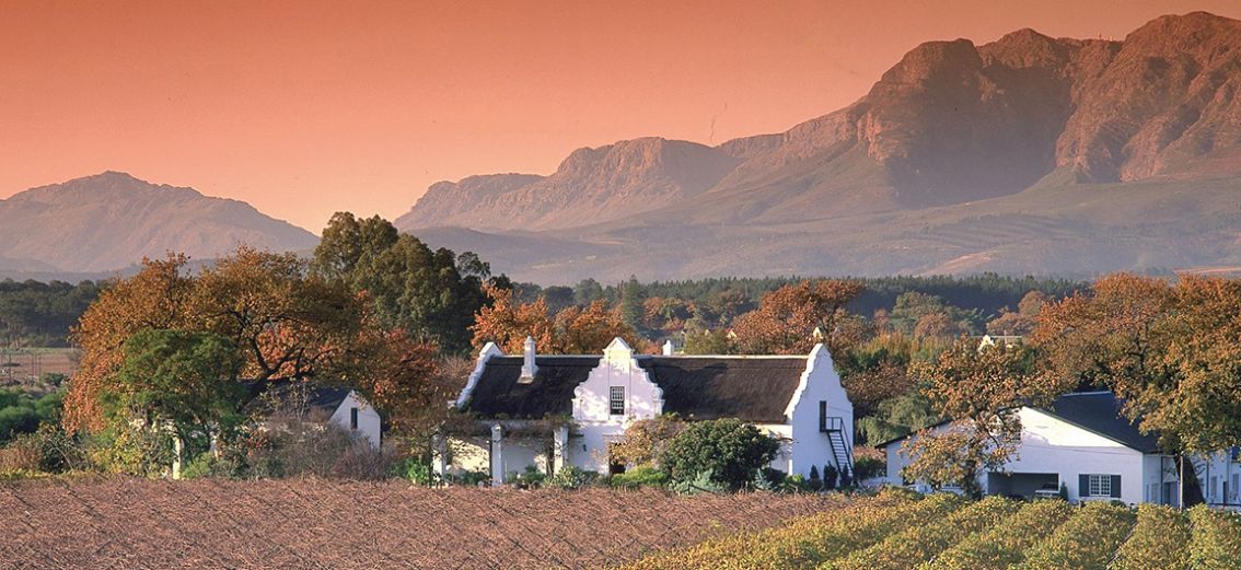 Kapholländisches Weingut
