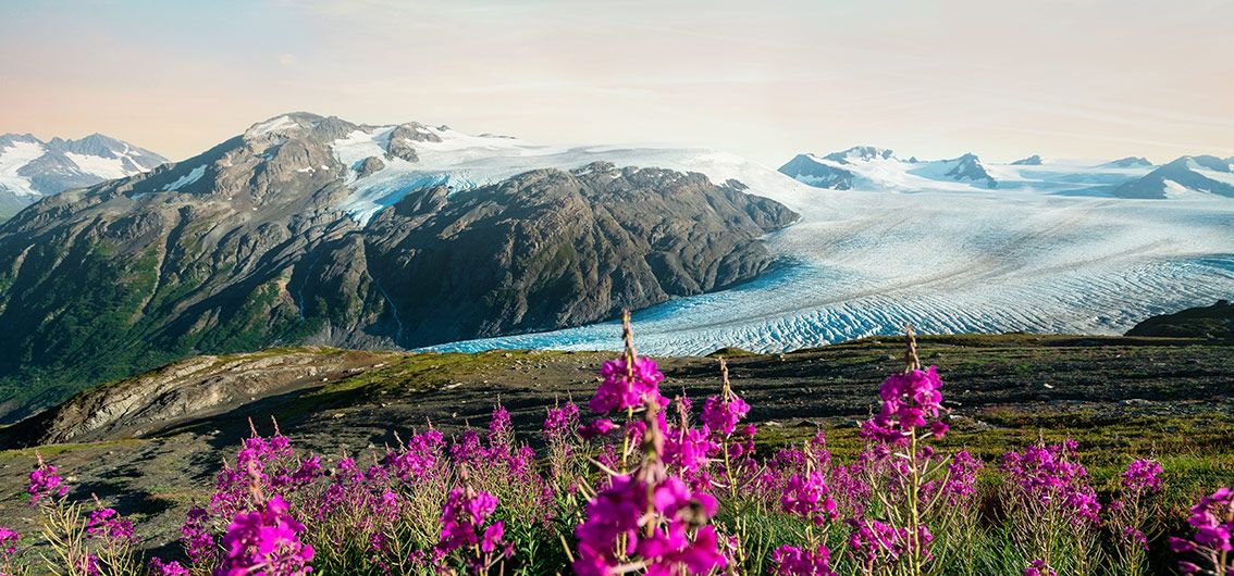 Die schönste Schiffsreise am Ende der Welt (2026/2027)