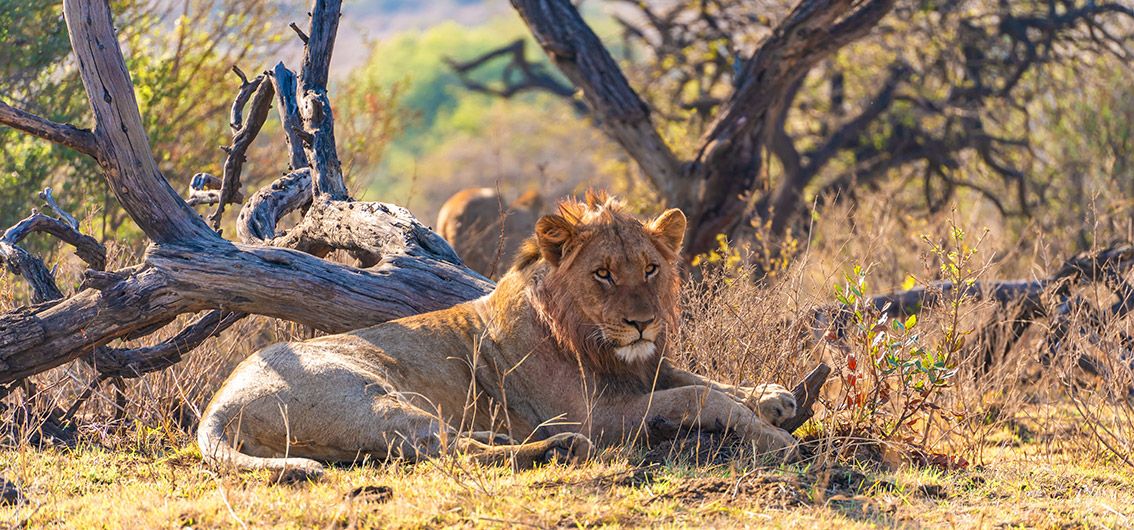 Individueller Reise-Baustein ab 1 Person (2026)