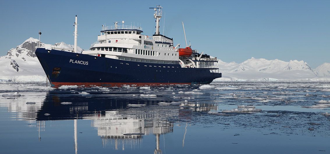 Eisberge, Nordlicht und Wale (2025)