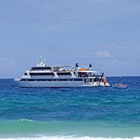 Motor-Yacht Pegasus