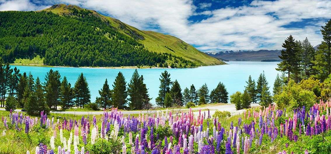 Neuseeland