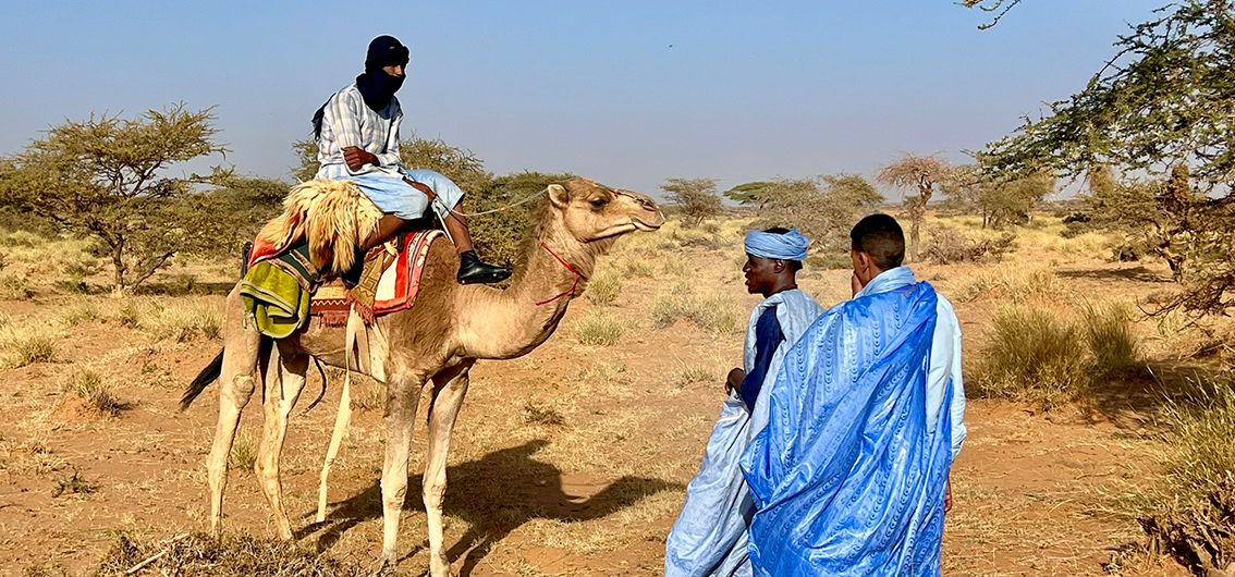 Nomaden-in-der-mauretanischen-Wüste