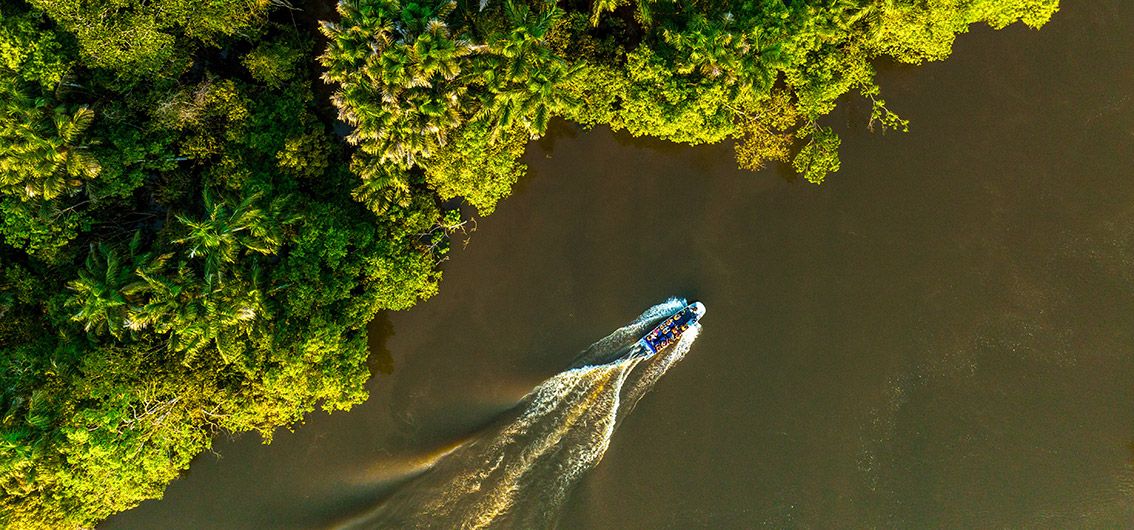 Amazonas_Beiboot_Regenwald_071_