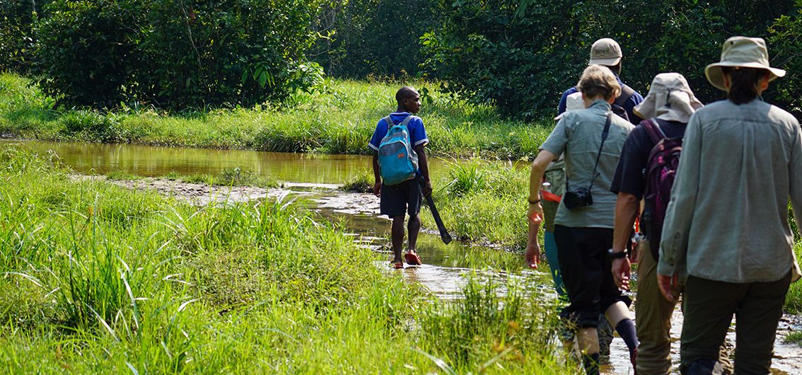 Wanderung-durch-den-Regenwald